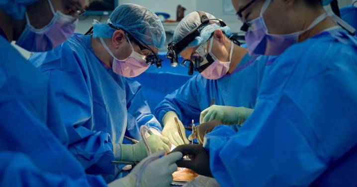 Doctors say they’re ‘measurably closer’ to making pig kidneys work for humans