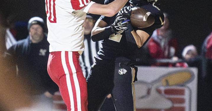 Historic seasons end for Eagles, Wildcats