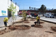 Lleva Javier Díaz acciones de delimitación de carriles viales al sur de Saltillo