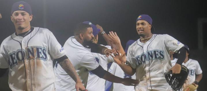 Por falta de patrocinios, Leones no participará en el béisbol profesional