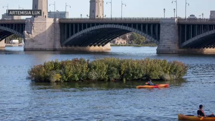 Floating wetland on Charles River goes away for winter