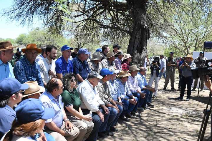 Destacan que la feria ganadera paippera en Puerto Irigoyen alcanzó precios de excelencia en la región
