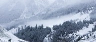 Hopes return for tourism revival as snow blankets Sonamarg