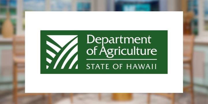 Opossum found in van at Maui car dealership