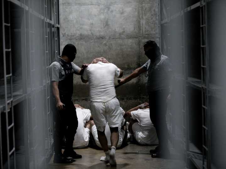 Venezolanos deportados a El Salvador: un severo informe acusa al gobierno de Trump de cómplice de tortura, desaparición forzada y abusos