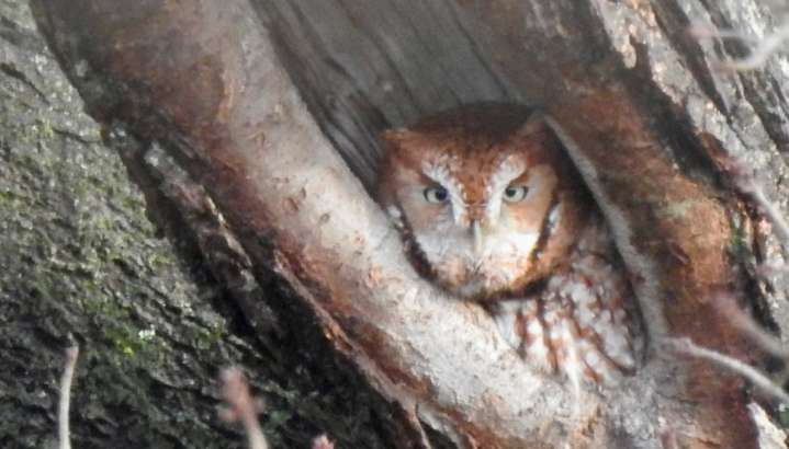 No need for this little guy to hide today