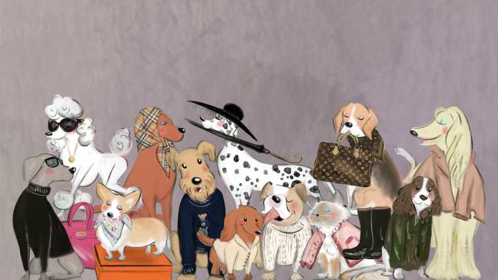 Haute dogs: How fashion’s finest would dress 11 dogs and one very spoilt cat if only they had the chance