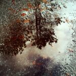 Big changes coming to Valley later this week, with rain, cooldown in forecast