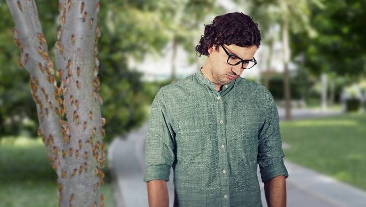 Pathetic Excuse For An Environmentalist Hasn’t Even Eaten A Cicada Yet