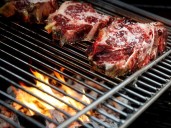 Documentan primera muerte por alergia a carne roja ligada a picadura de garrapata en Nueva Jersey