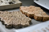 La Colección Paleontológica de la UNNE se consolida como recurso educativo y científico