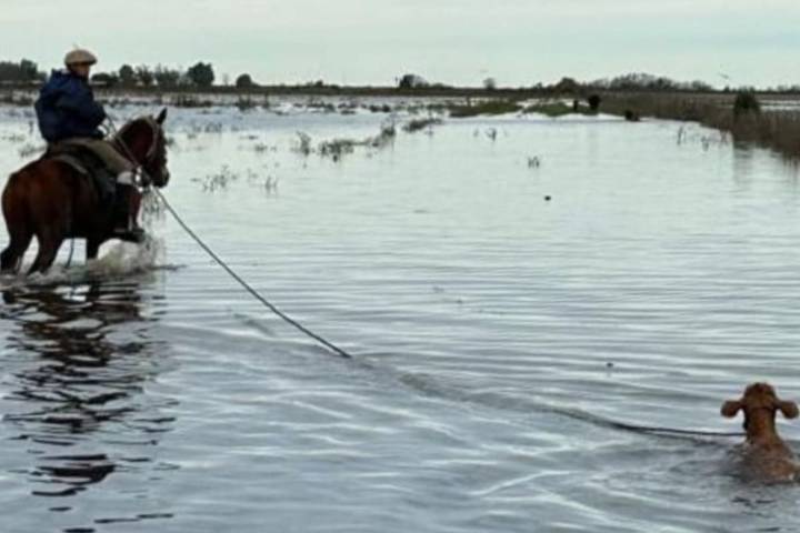 Denuncian que es parcial la reanudación de las obras de dragado en la cuenca del Salado