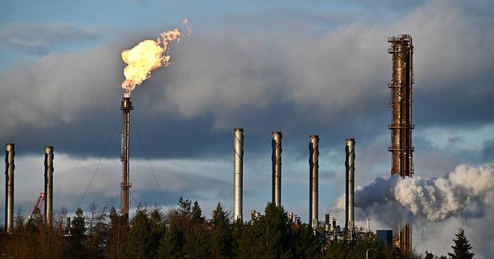 Defence firm may consider employing some Mossmorran workers, Scottish Secretary says