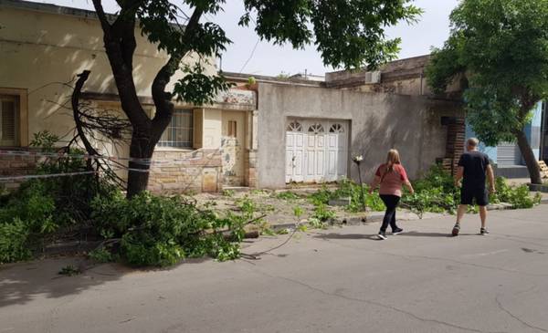 Cuál es el estado del operario que se cayó en medio de una poda