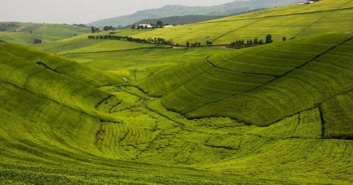 Through, With and in Africa; A Journey Across Regions, Culture; Rwanda: Land of a Thousand Hills and Endless Wonders