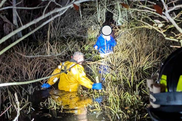 Woman Was Out Walking When She Got ‘Lost’ in the Dark and Stuck in Swamp