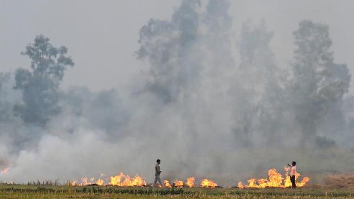 Delhi air pollution LIVE: Supreme Court to hear plea on stubble burning