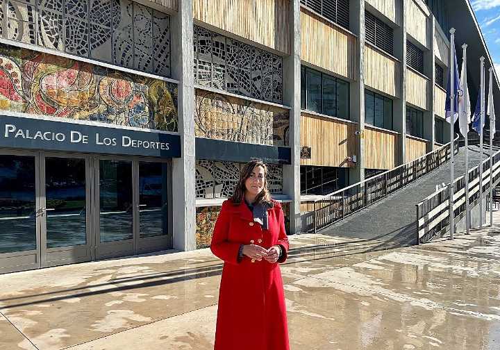 «La bandera de España debe ondear ya en el Palacio de los Deportes de Oviedo»
