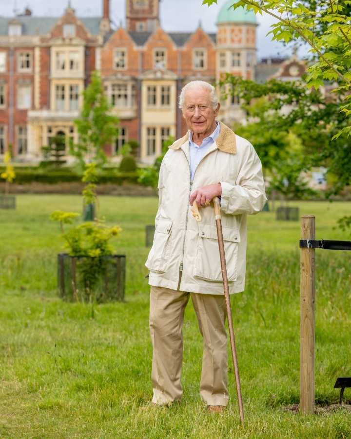 Cele|bitchy | King Charles marks his 77th birthday with a new portrait & a visit to Wales