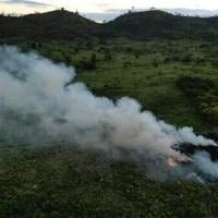 World leaders launch fund to save forests, get first $5 bn