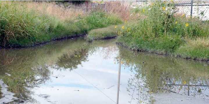 Alarma brote de dengue en la Huasteca tras las lluvias