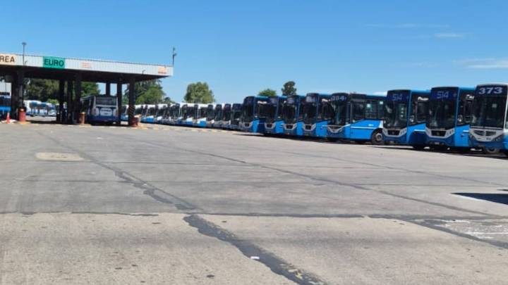 Paro de colectivos del Grupo Dota en Zona Sur: cuatro líneas no circularán hasta nuevo aviso