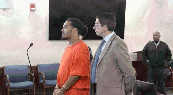 Bronx man sentenced in Albany dog burning case