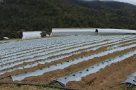 Gobierno de Puebla alista primeros centros de transformación en Aquixtla y San José Chiapa