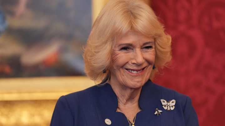 10 Queen Camilla Outfits That Meant More Than You Realized