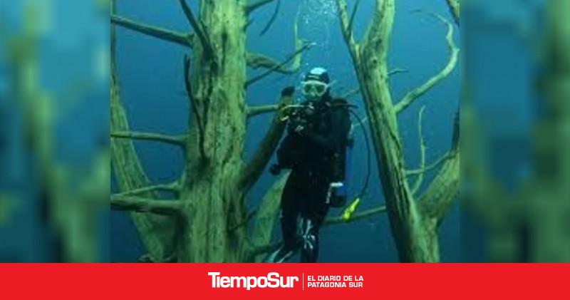 Niveles y experiencias imperdibles Dónde bucear en Argentina además de Puerto Madryn: Santa Cruz tiene su destino