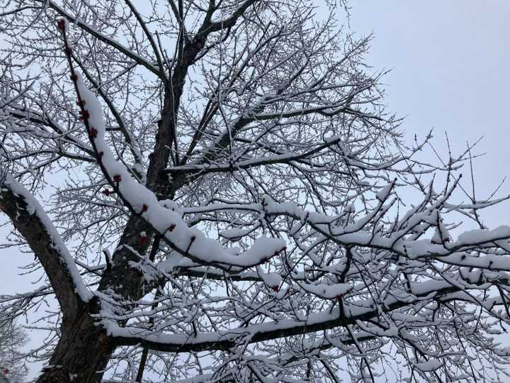 Winter storm watch: Up to 10 inches of snow could hit Northeast Ohio