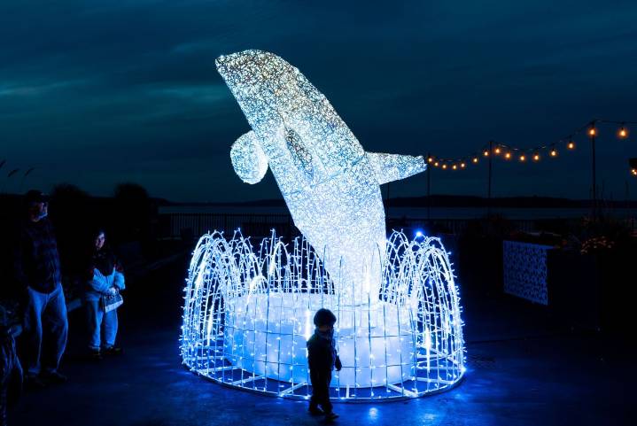 Port of Everett unveils new illuminated Orca Art on the Mukilteo Waterfront