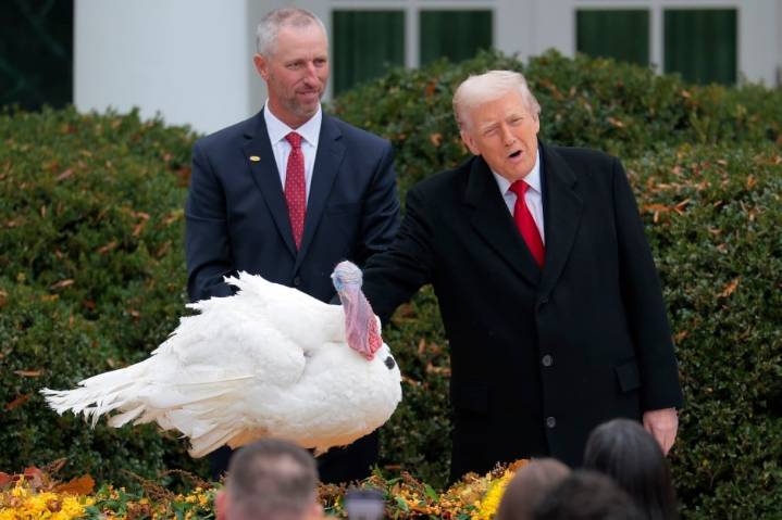 The Top 10 Reasons to Be Thankful in 2025