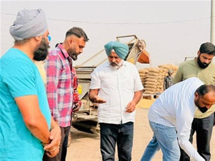 Punjab Farmers Face Potential Crop Losses of Rs 10,000Cr Due to Sharp Decline in Yields: Pargat Singh