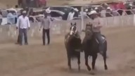 Seis muertos y 11 heridos en ataque armado durante carrera de caballos en Parral