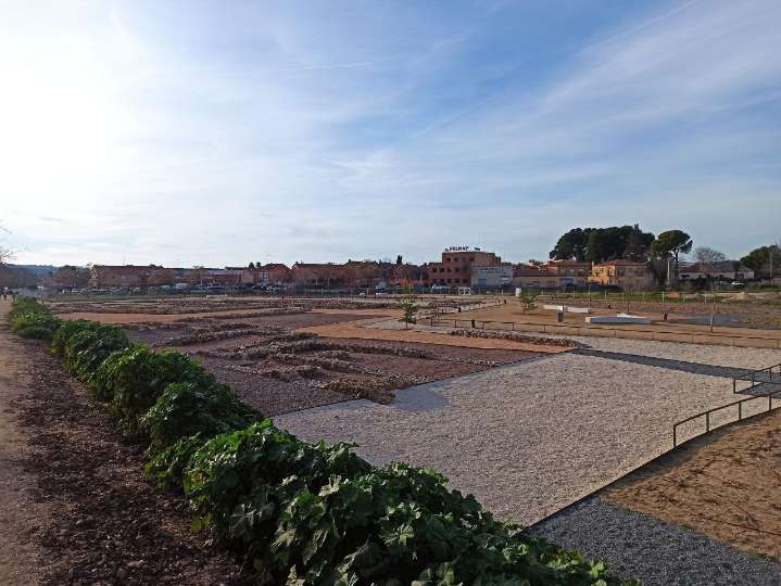 Adjudican la segunda fase del proyecto de recuperación de Vega Baja por 382.000 euros