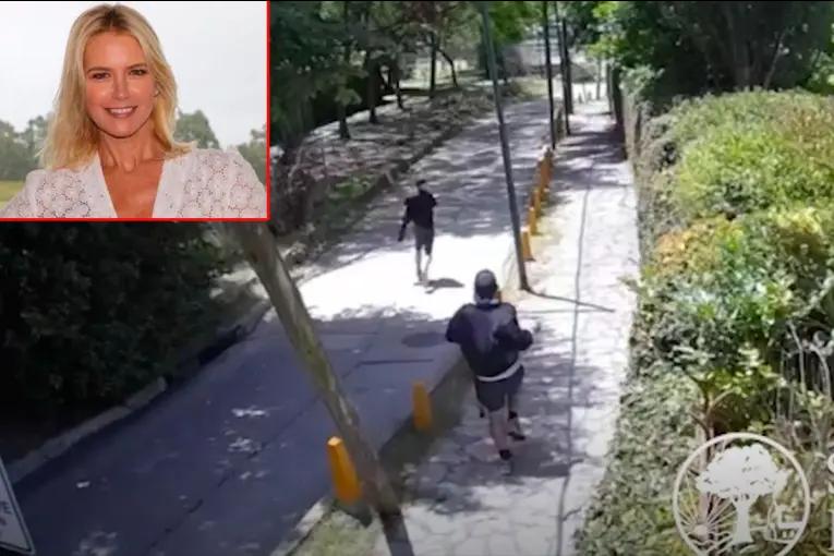 Identificaron a los ladrones que intentaron robar en la casa de Valeria Mazza