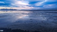 Great Salt Lake commissioner provides update on low lake levels
