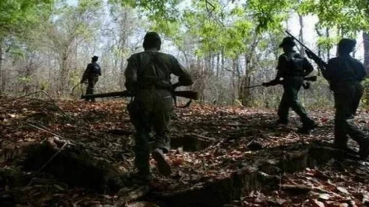 7 Maoists killed in police encounter in Andhra Pradesh
