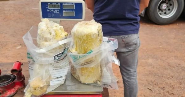 Aduana desbarató una ruta narco: 16 kilos de droga llegaban en camiones desde Bolivia