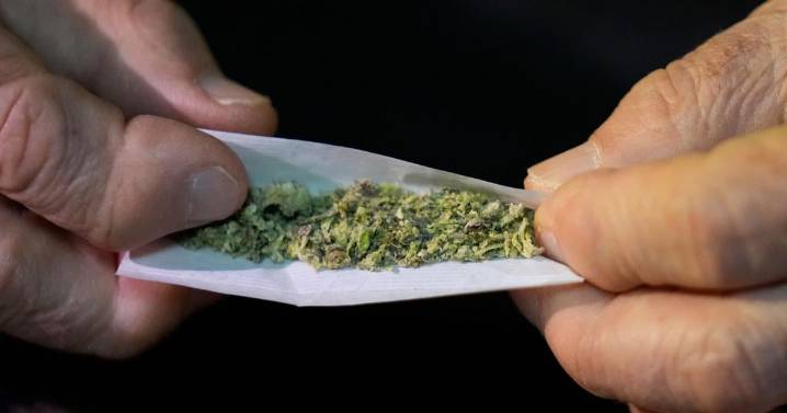 Users weight risks and benefits of cannabis