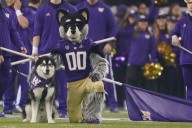 Watch Washington vs Wisconsin college football is streaming for free today; Channel, time, odds