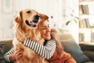 Golden retriever and human behaviour may be linked by the same genes