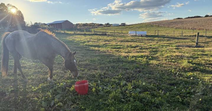 In Maryland’s quest for energy, farmers see their land being stripped away