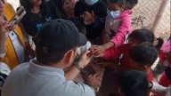 Niños aprenden sobre las abejas sin aguijón nativas de Perú