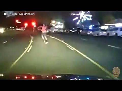 Video shows deadly crash involving LAPD cruiser, skateboarder