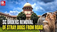 SC’s Big Order On Stray Dogs: ‘Remove Them From Hospitals, Schools…' India News