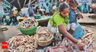 Fisherwomen make their voices heard