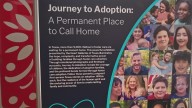 Finding a forever home: New exhibit at Bullock Museum highlights adoption success stories