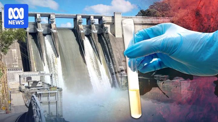 PFAS inquiry hands down 47 recommendations to better regulate 'forever chemicals' in Australia